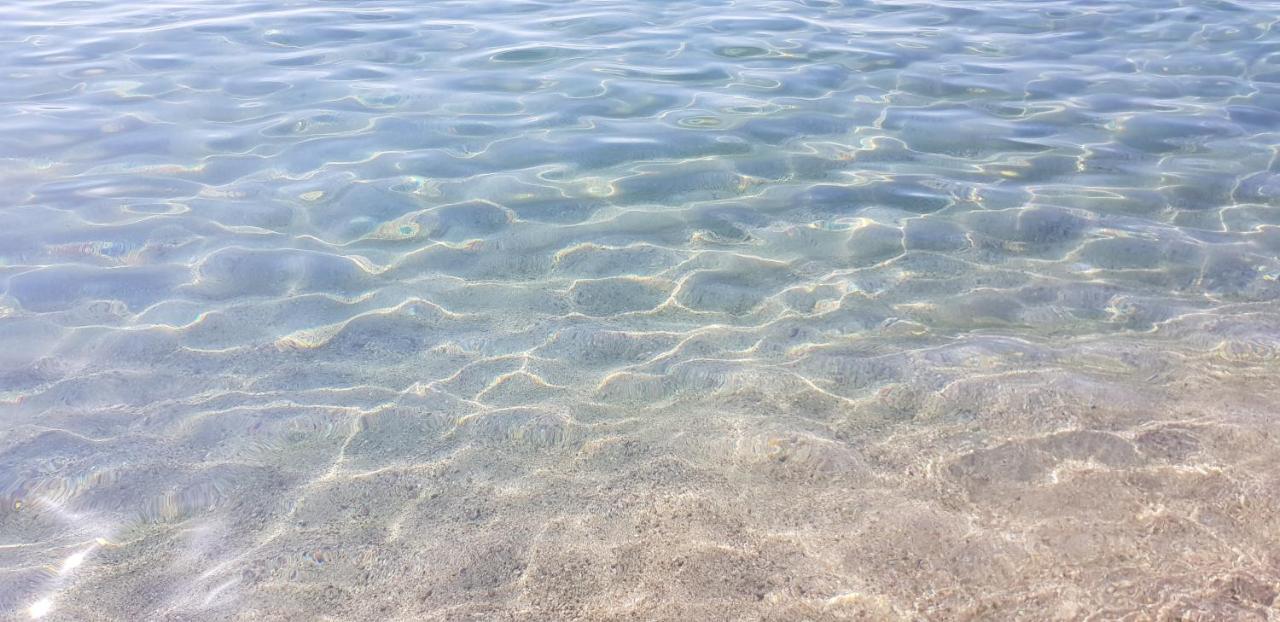 Appartement Sur Empuriabrava A 100 M De La Mer Dış mekan fotoğraf